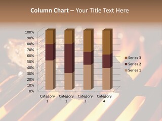 Grilling Barbeque Fire PowerPoint Template