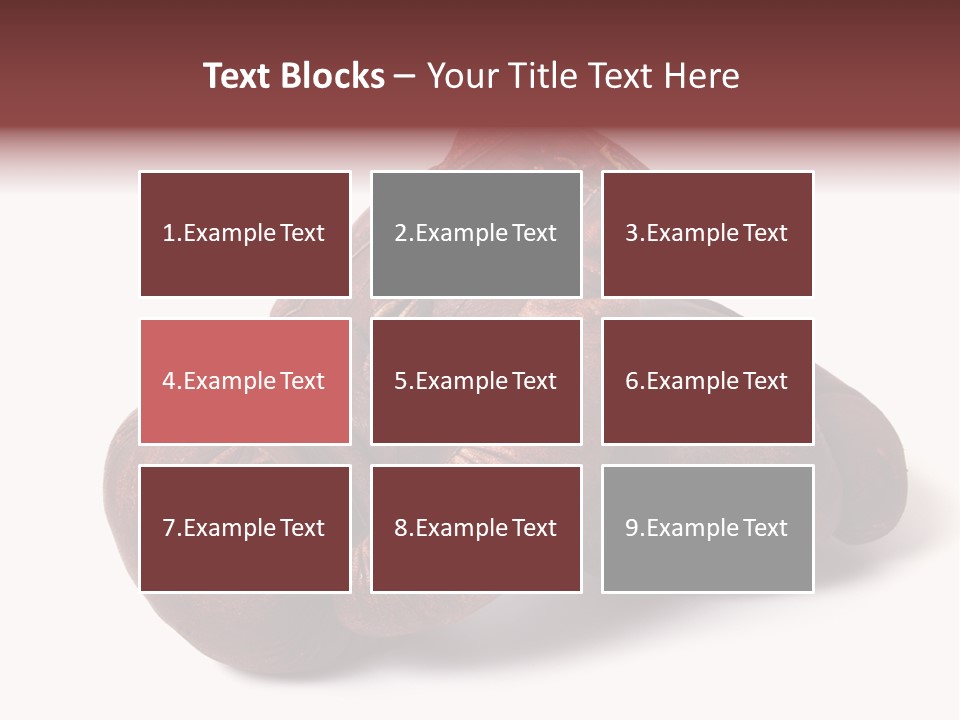 Boxer History Recreation PowerPoint Template