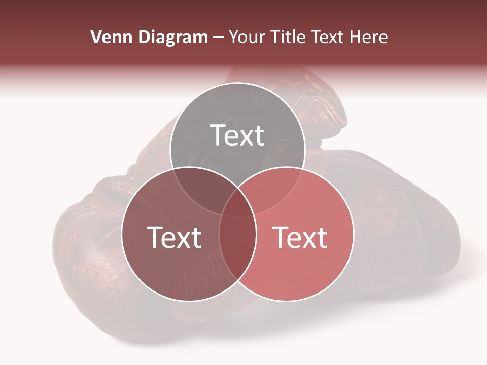 Boxer History Recreation PowerPoint Template