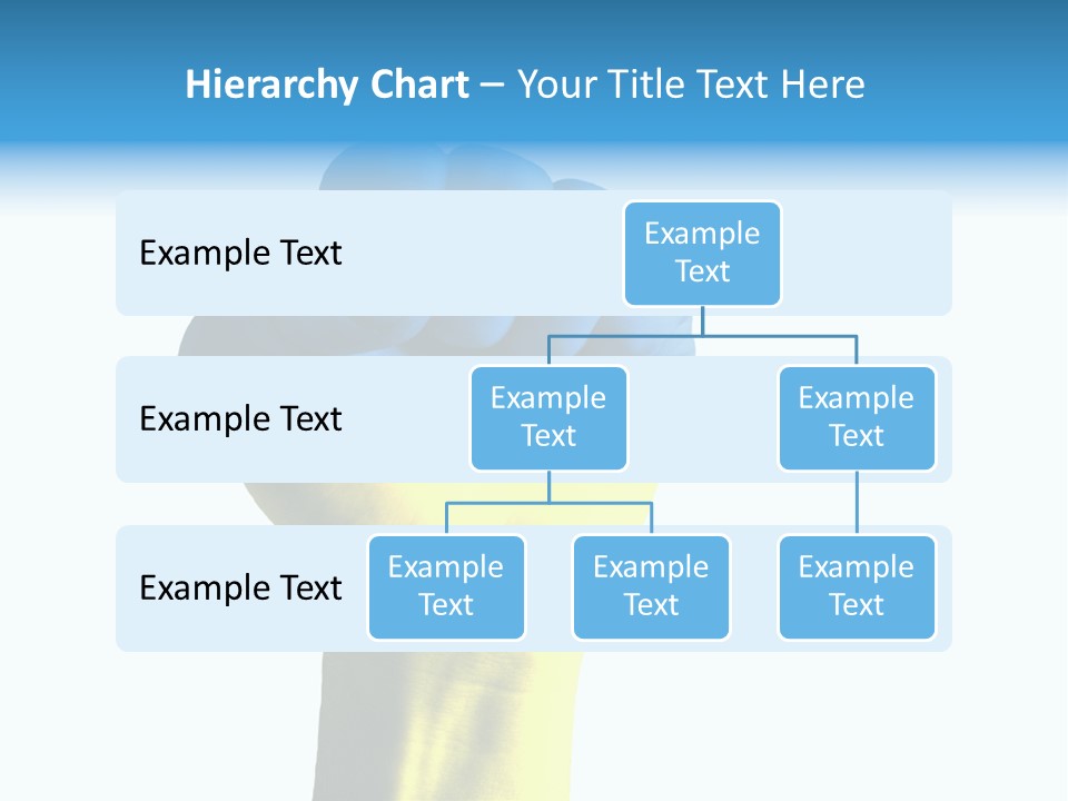 Flag Of The Ukrainian Force PowerPoint Template