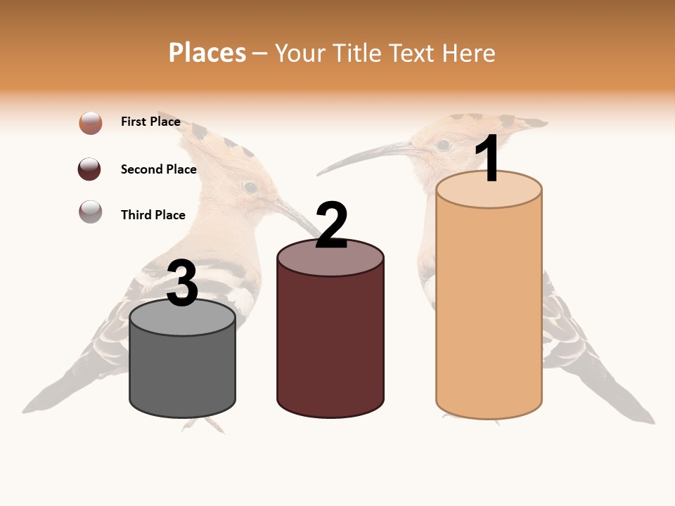 Color Animal Colorful PowerPoint Template