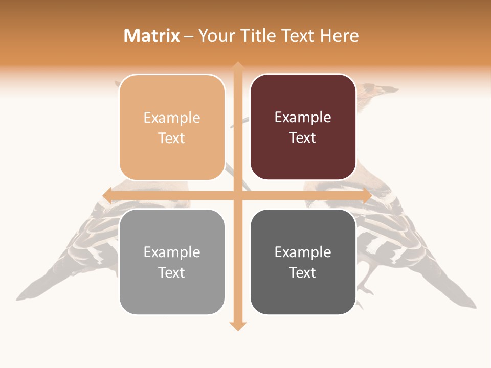 Color Animal Colorful PowerPoint Template