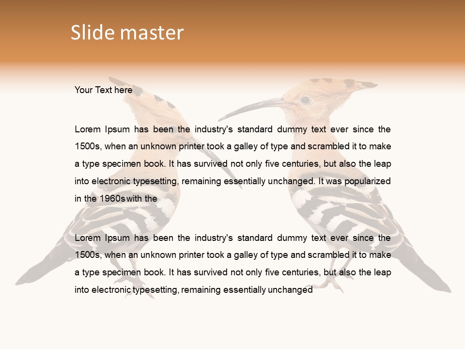 Color Animal Colorful PowerPoint Template