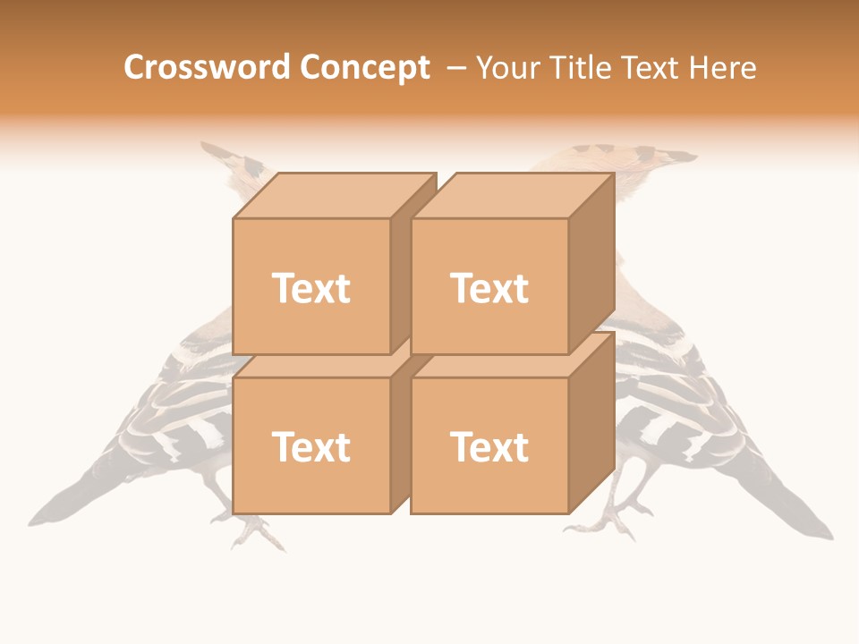 Color Animal Colorful PowerPoint Template