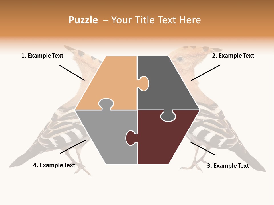 Color Animal Colorful PowerPoint Template