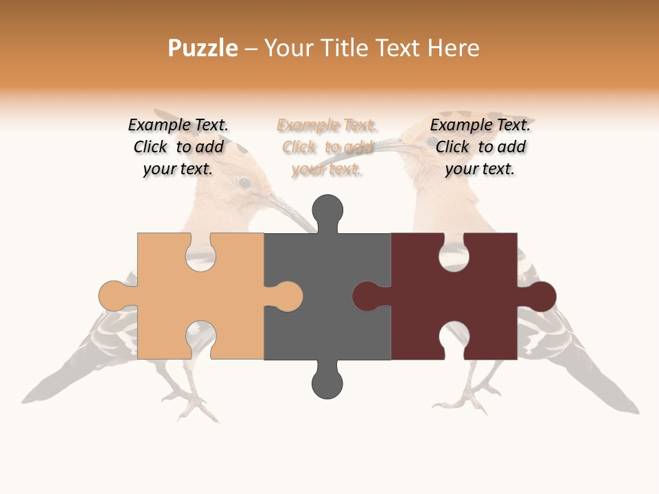 Color Animal Colorful PowerPoint Template