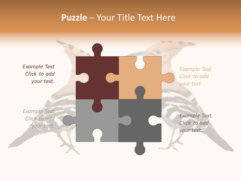 Color Animal Colorful PowerPoint Template