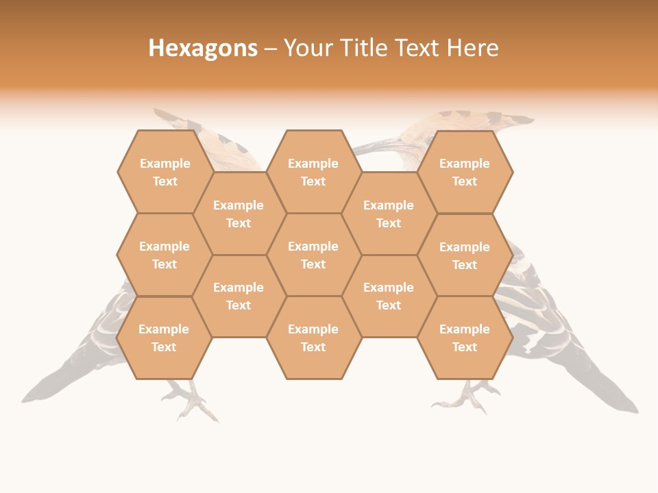 Color Animal Colorful PowerPoint Template