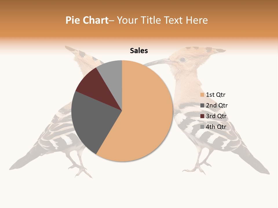 Color Animal Colorful PowerPoint Template