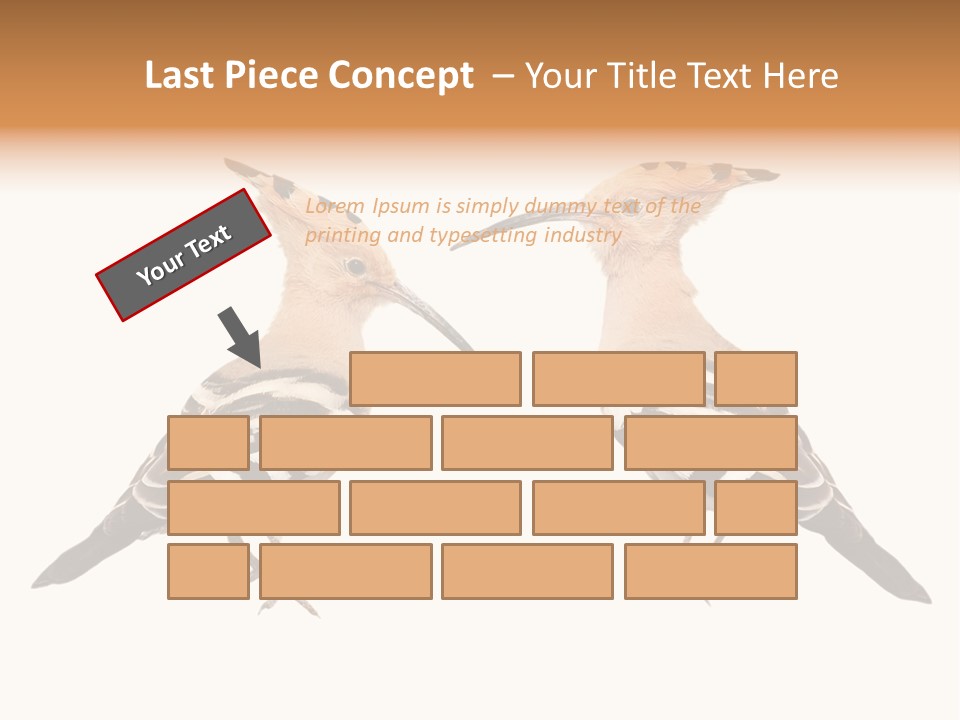 Color Animal Colorful PowerPoint Template