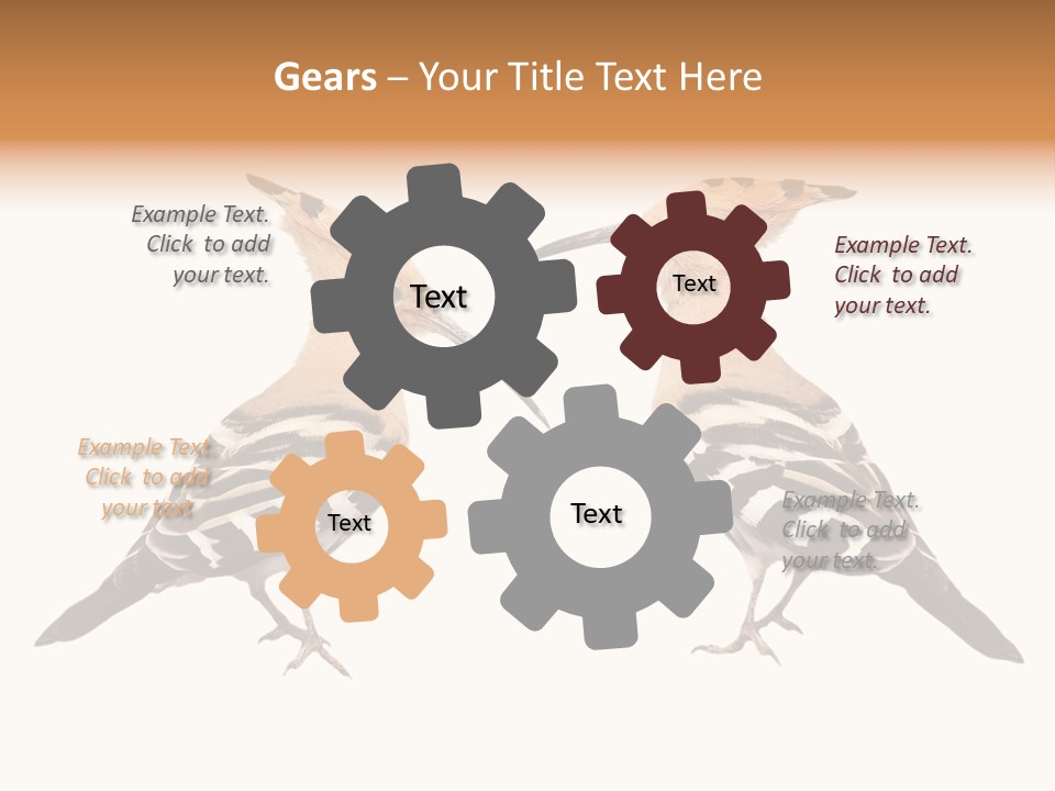 Color Animal Colorful PowerPoint Template