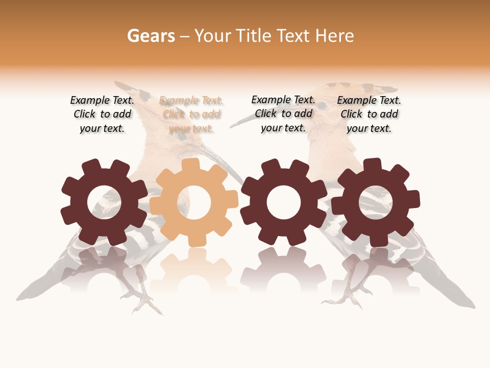 Color Animal Colorful PowerPoint Template