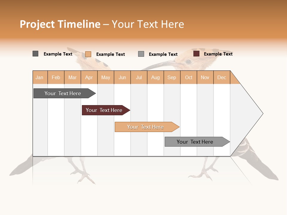 Color Animal Colorful PowerPoint Template