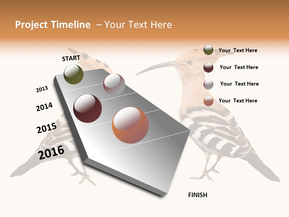 Color Animal Colorful PowerPoint Template