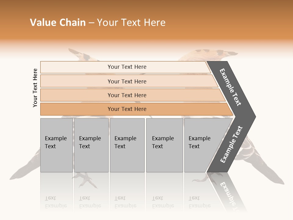 Color Animal Colorful PowerPoint Template