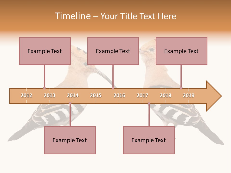 Color Animal Colorful PowerPoint Template