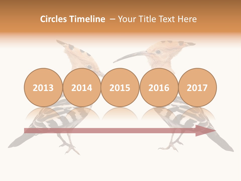 Color Animal Colorful PowerPoint Template