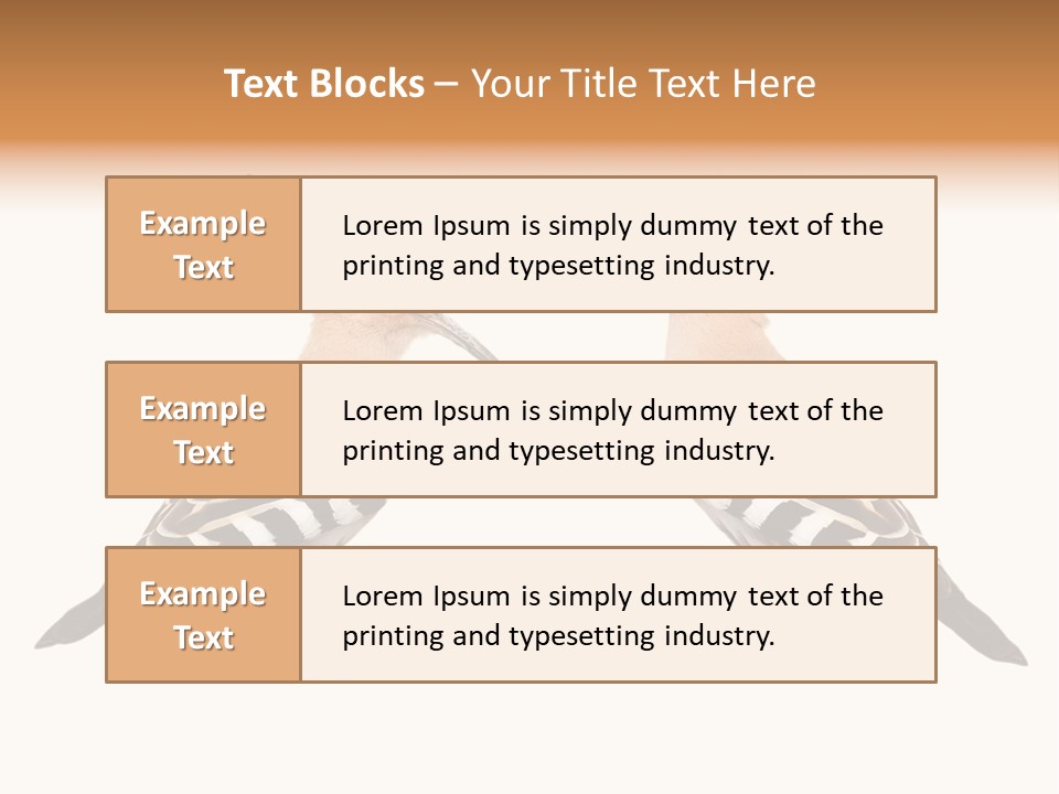 Color Animal Colorful PowerPoint Template