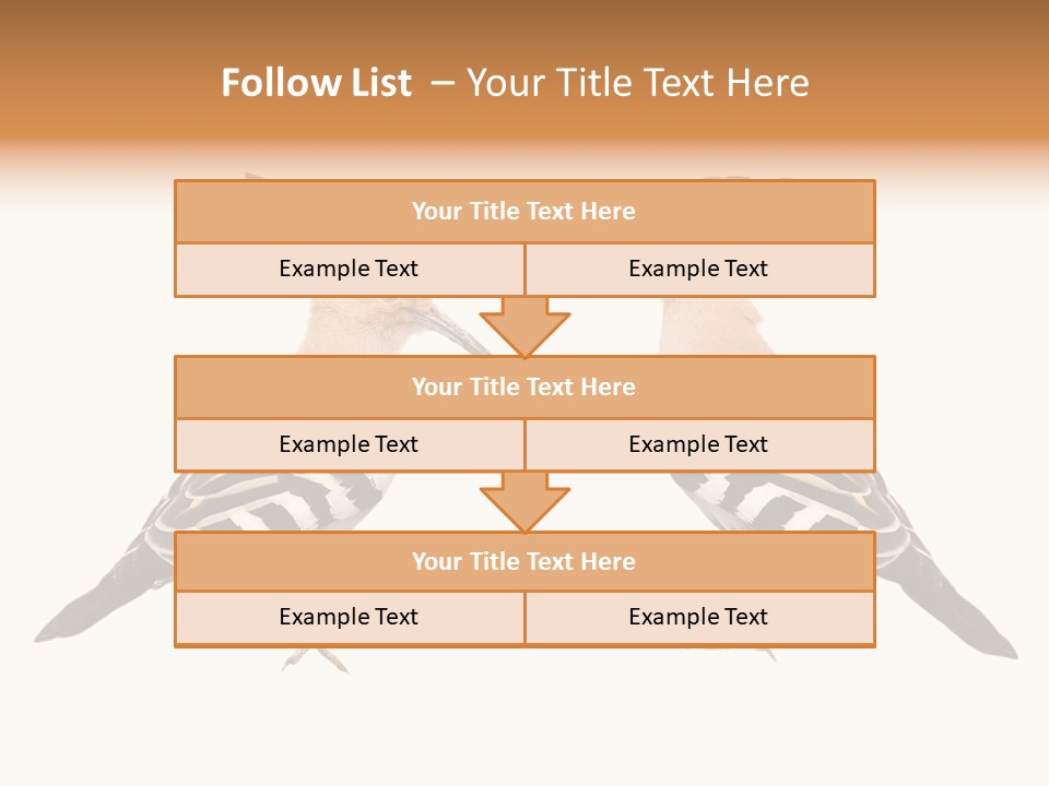 Color Animal Colorful PowerPoint Template