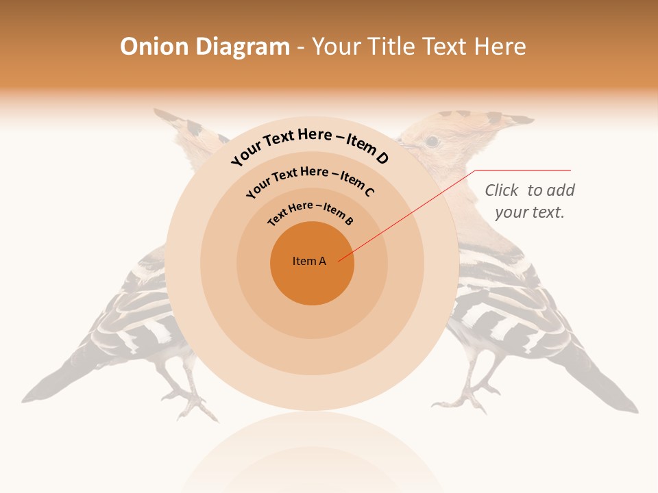 Color Animal Colorful PowerPoint Template