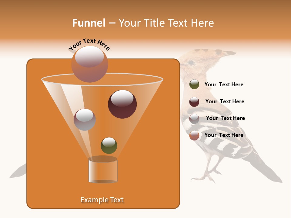 Color Animal Colorful PowerPoint Template