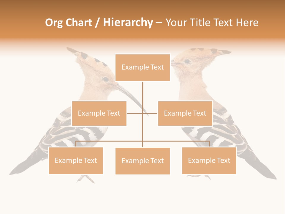 Color Animal Colorful PowerPoint Template