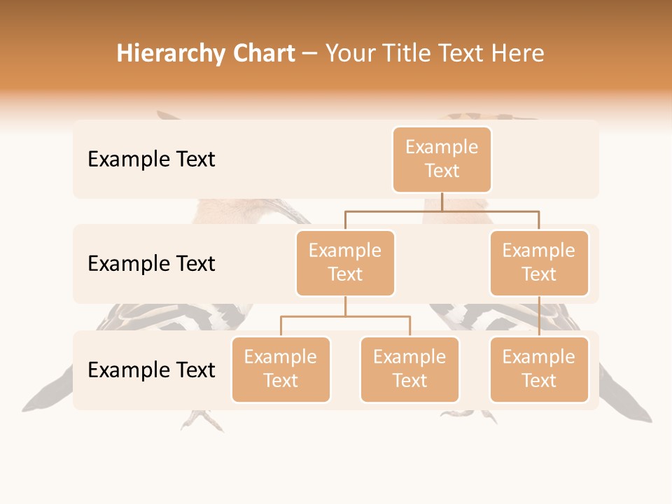 Color Animal Colorful PowerPoint Template