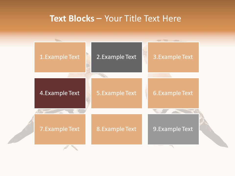 Color Animal Colorful PowerPoint Template