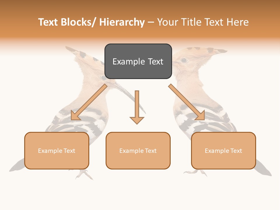 Color Animal Colorful PowerPoint Template