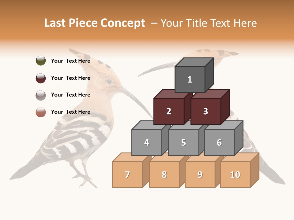 Color Animal Colorful PowerPoint Template