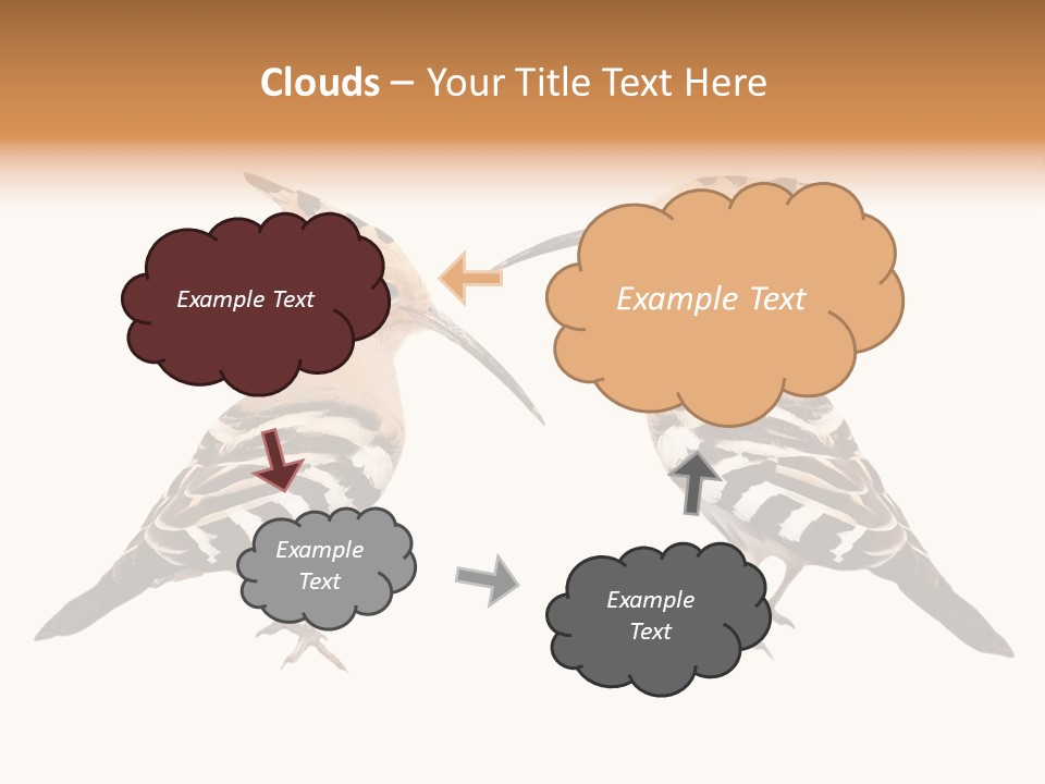 Color Animal Colorful PowerPoint Template