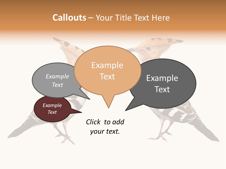 Color Animal Colorful PowerPoint Template