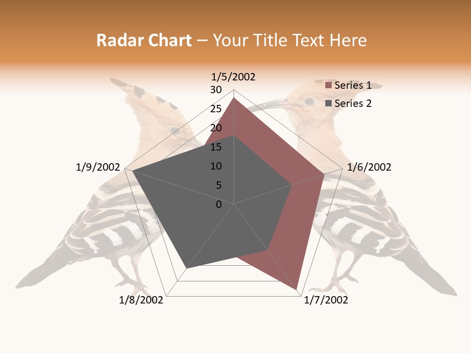 Color Animal Colorful PowerPoint Template