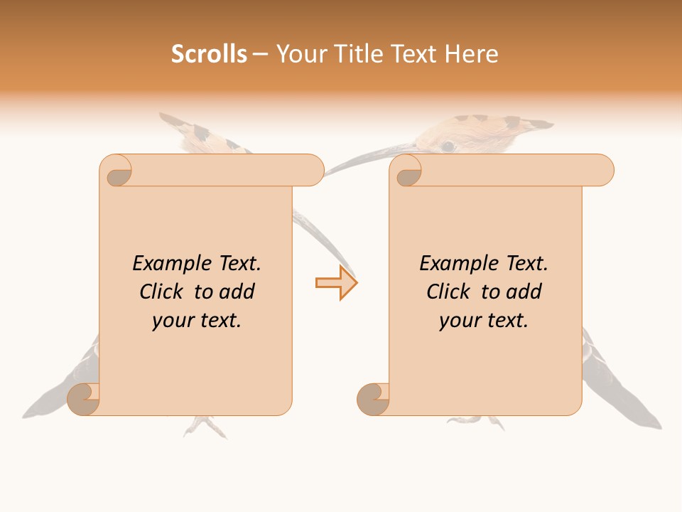 Color Animal Colorful PowerPoint Template