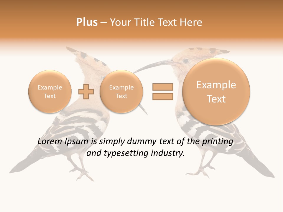 Color Animal Colorful PowerPoint Template