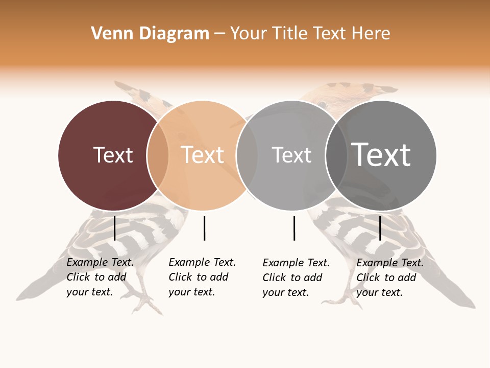 Color Animal Colorful PowerPoint Template