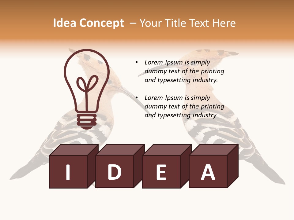 Color Animal Colorful PowerPoint Template