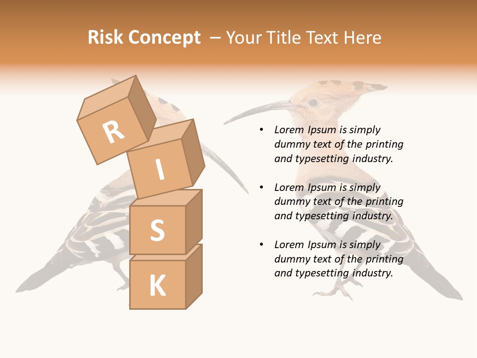 Color Animal Colorful PowerPoint Template