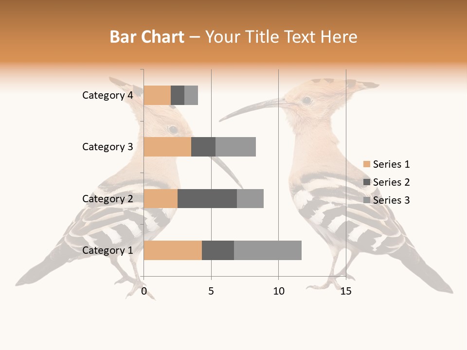 Color Animal Colorful PowerPoint Template