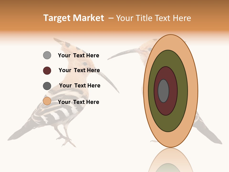 Color Animal Colorful PowerPoint Template