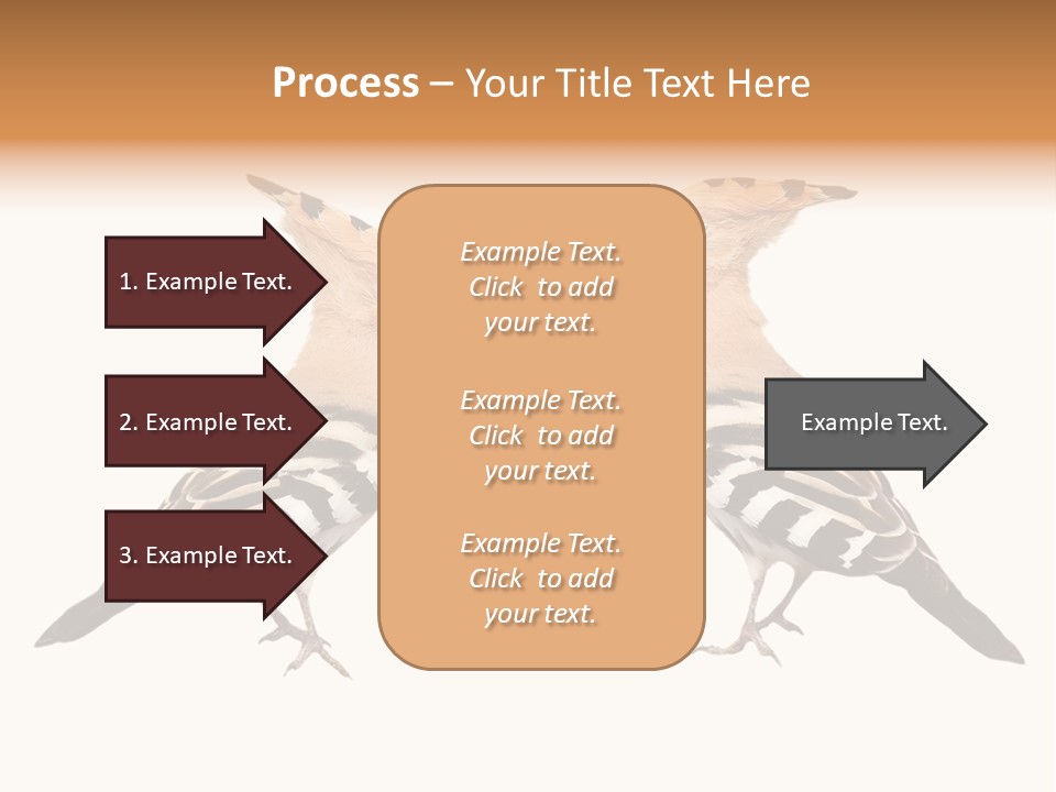 Color Animal Colorful PowerPoint Template