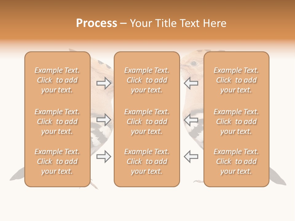 Color Animal Colorful PowerPoint Template