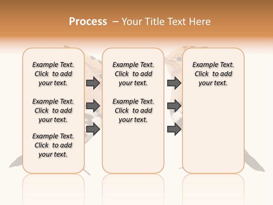 Color Animal Colorful PowerPoint Template