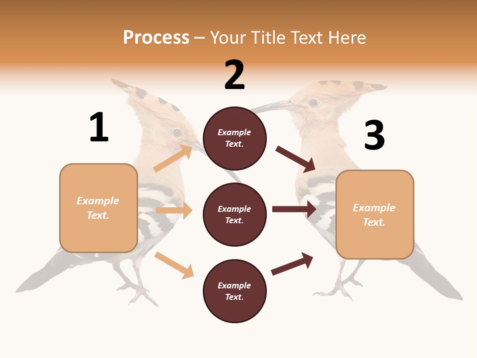 Color Animal Colorful PowerPoint Template