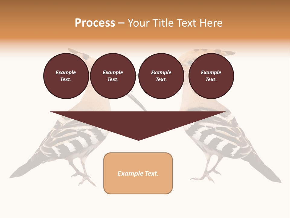 Color Animal Colorful PowerPoint Template