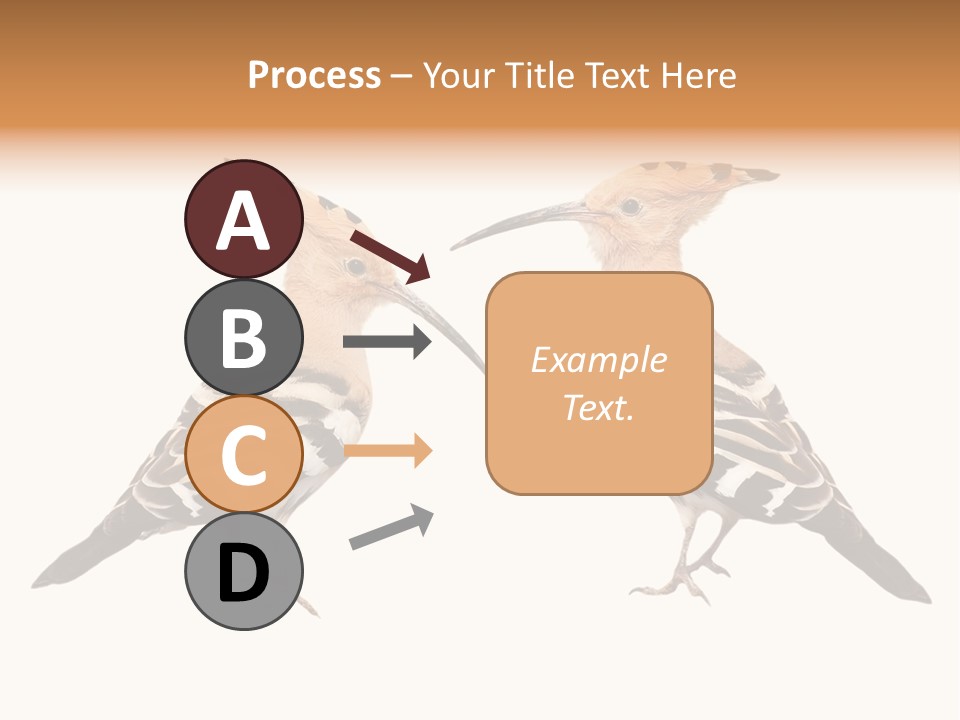 Color Animal Colorful PowerPoint Template