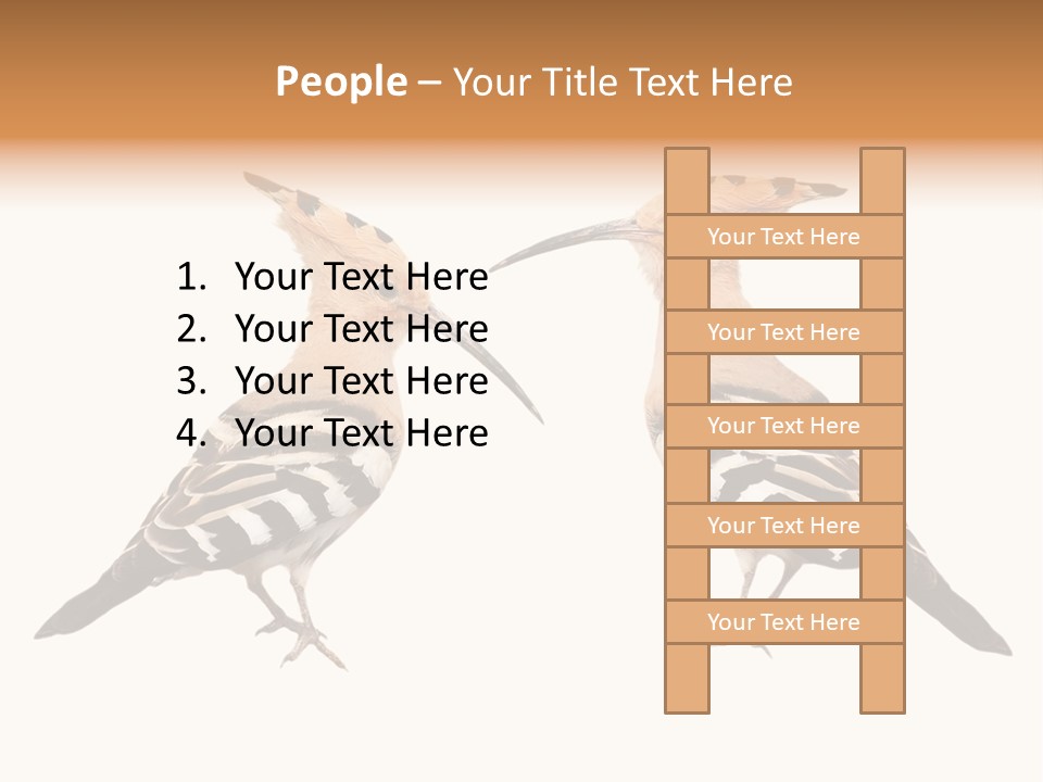 Color Animal Colorful PowerPoint Template