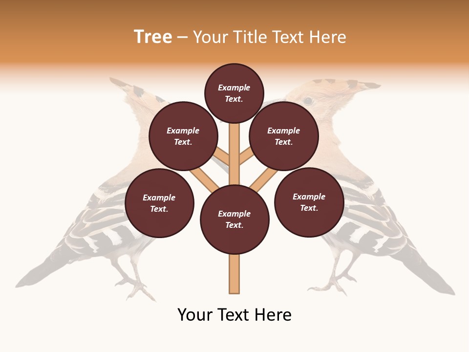 Color Animal Colorful PowerPoint Template