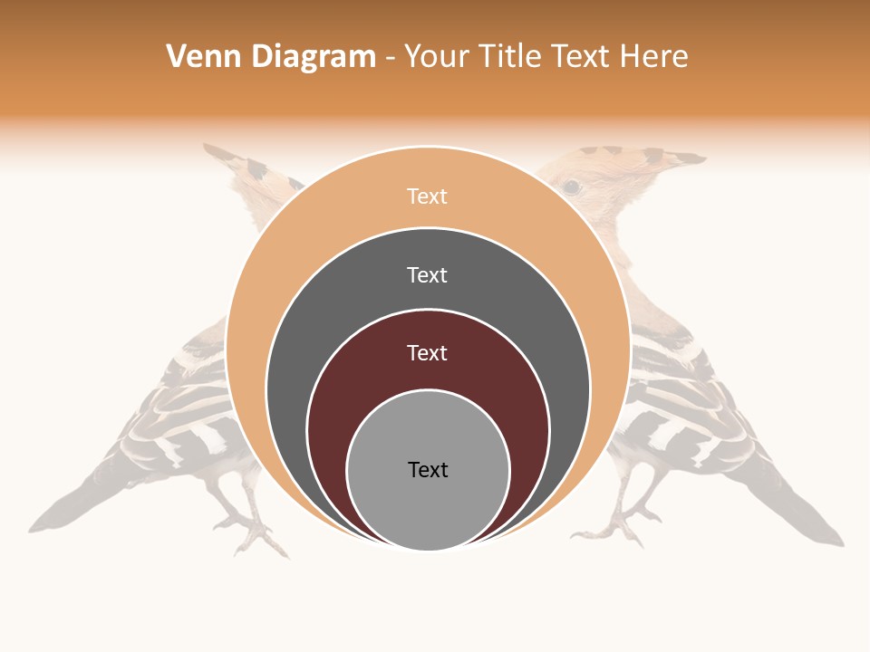 Color Animal Colorful PowerPoint Template