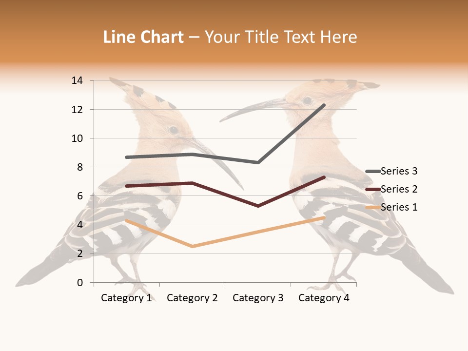 Color Animal Colorful PowerPoint Template